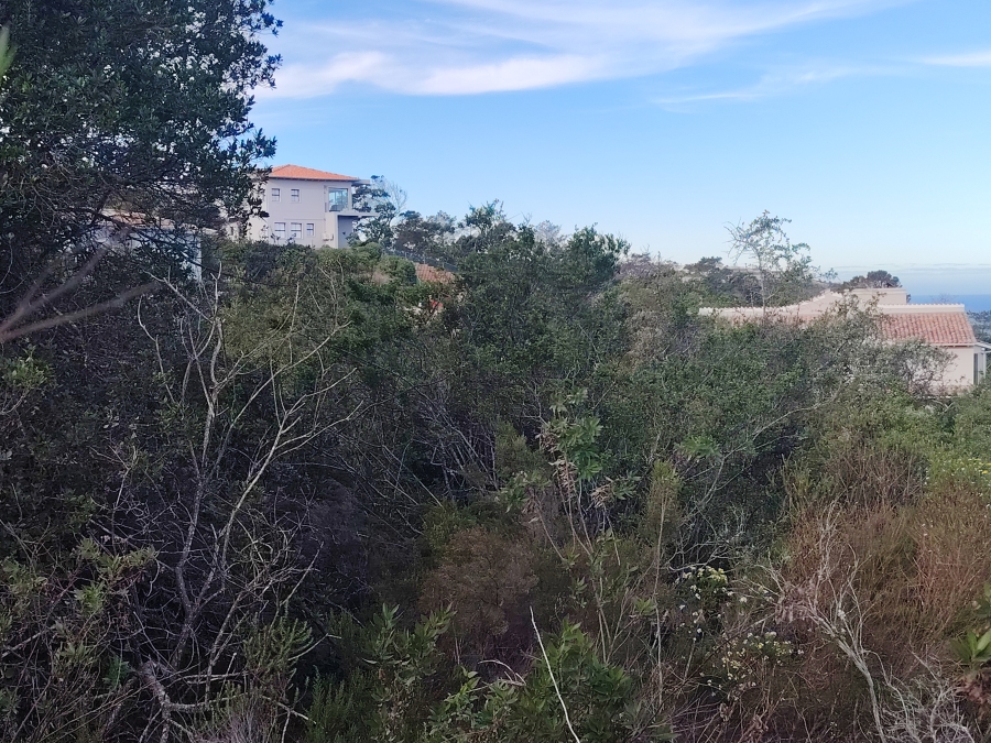 0 Bedroom Property for Sale in Plettenberg Bay Central Western Cape